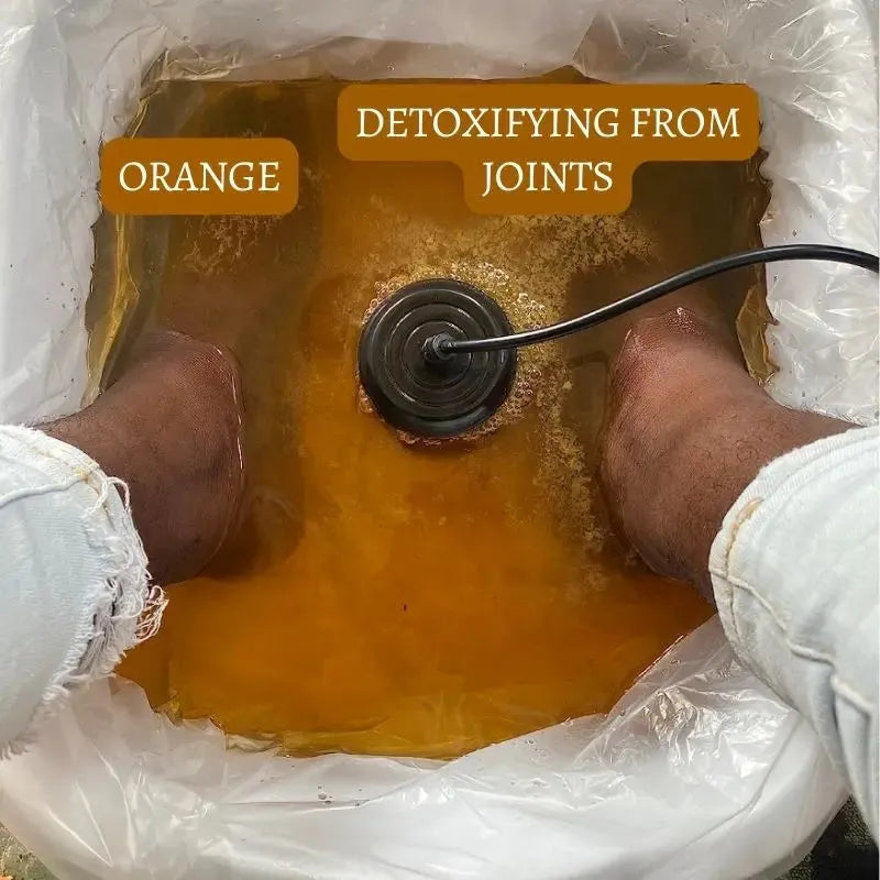 ZestDrop™ Ionic Foot Spa